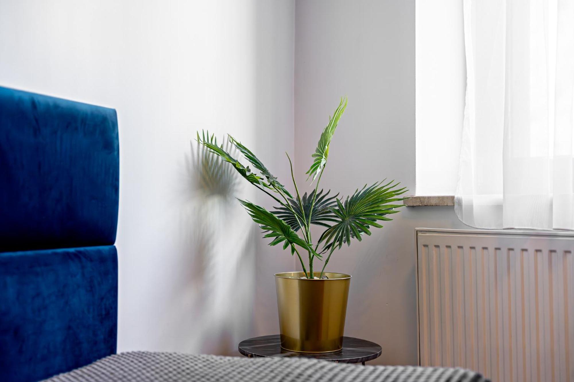 Akira Bed&Breakfast Wroclaw Dış mekan fotoğraf